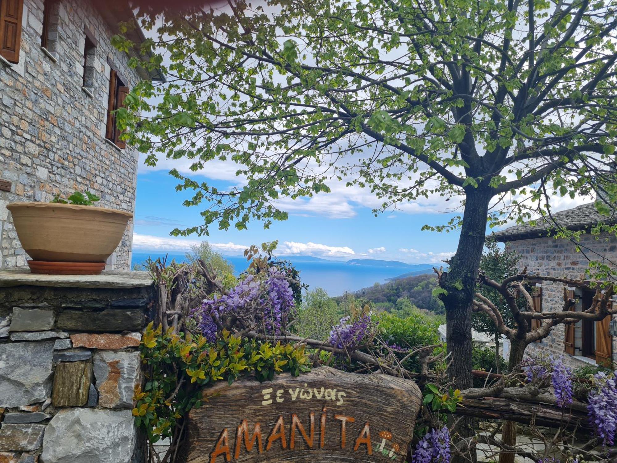 Amanita Boutique Hotel Tsagarada Luaran gambar